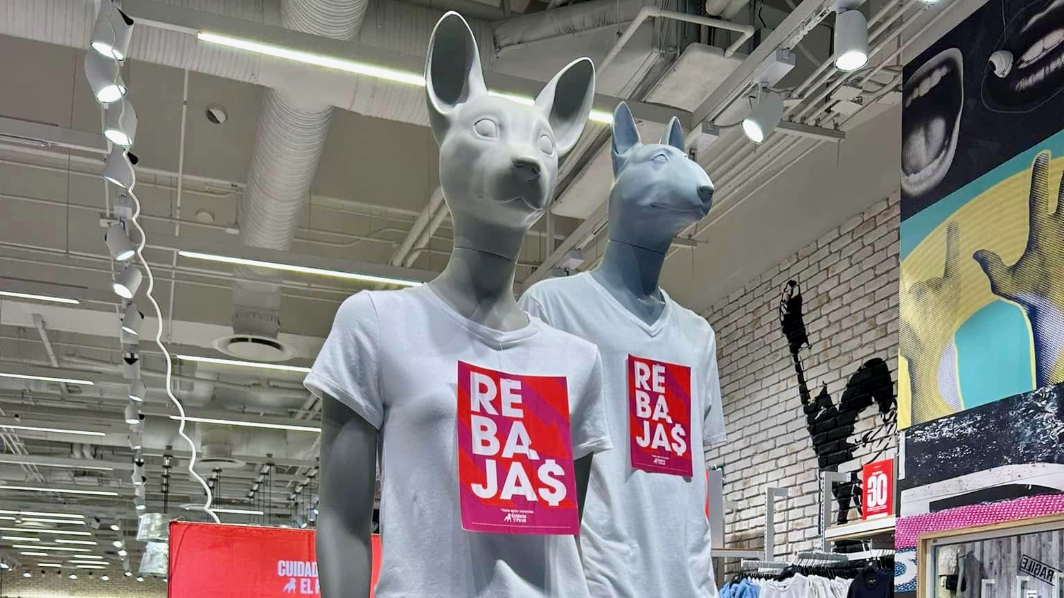 ¿Quién es el dueño de Cuidado con el Perro y cómo nació la marca que conquistó México?