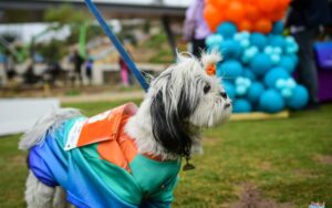 Realiza Educeb primera carrera “Corriendo por la Salud Mental 5K”