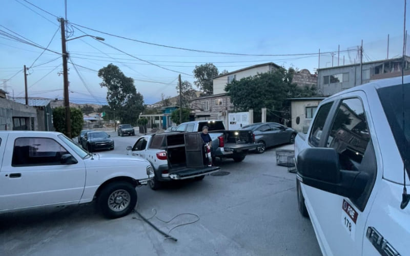 IMBAT rescata a 19 caninos que vivían en condiciones de extremo abandono en la colonia Ampliación Descanso