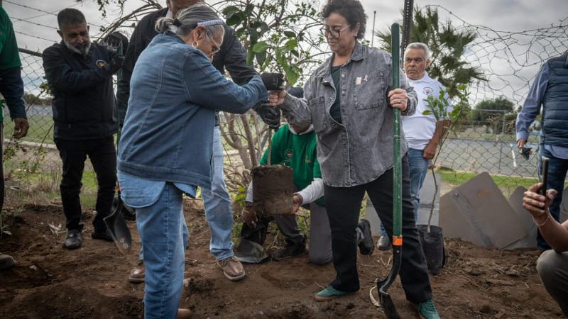 Vivero Municipal producirá árboles para reforestar otras áreas de la ciudad