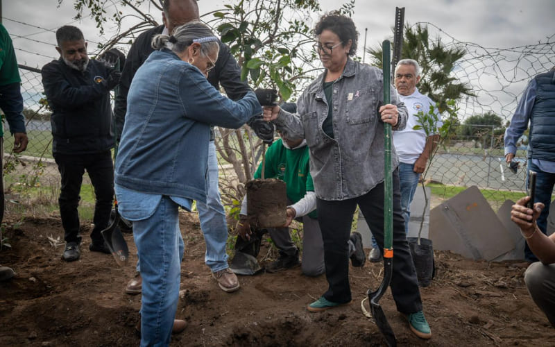 Vivero Municipal producirá árboles para reforestar otras áreas de la ciudad