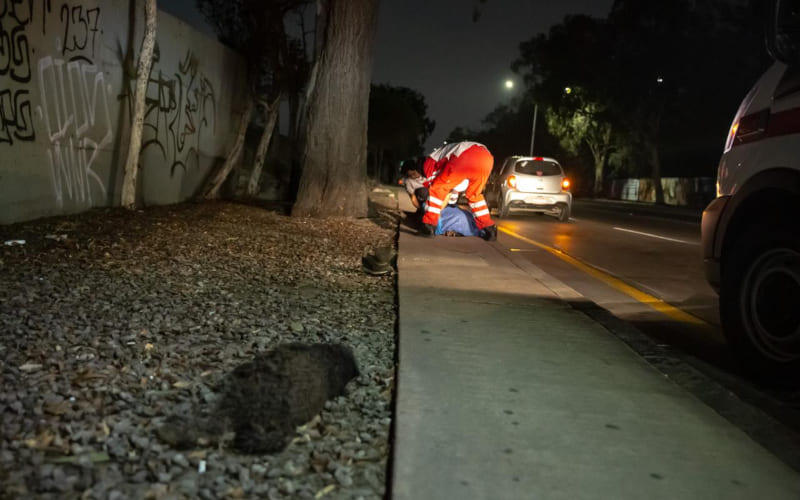 Hombre en situación de calle muere junto a su mascota tras ser atropellados en la Vía Rápida Oriente