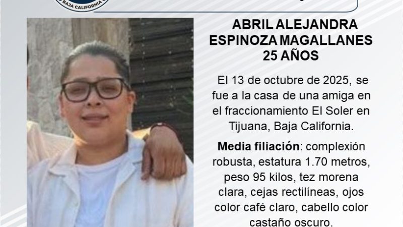 Pesquisa de Abril Alejandra Espinoza Magallanes de 25 años