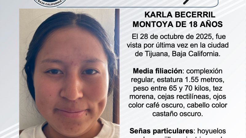 Pesquisa de Karla Becerril Montoya de 18 años de edad