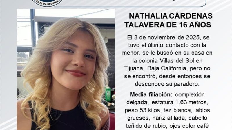 Pesquisa de Nathalia Cárdenas Talavera de 16 años