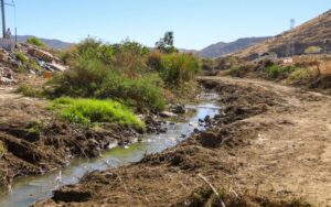 Alcalde Román Cota supervisa labores de limpieza en el cauce del río Tecate