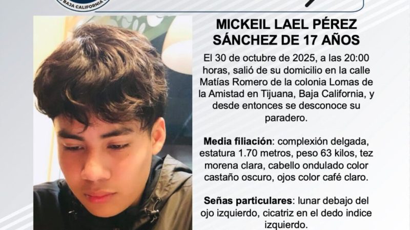 Pesquisa de Mickeil Lael Pérez Sánchez de 17 años