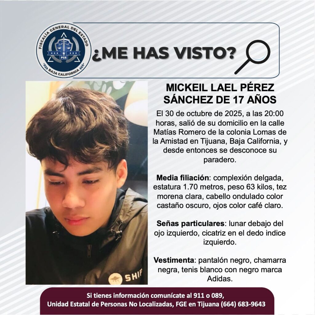 Pesquisa de Mickeil Lael Pérez Sánchez de 17 años