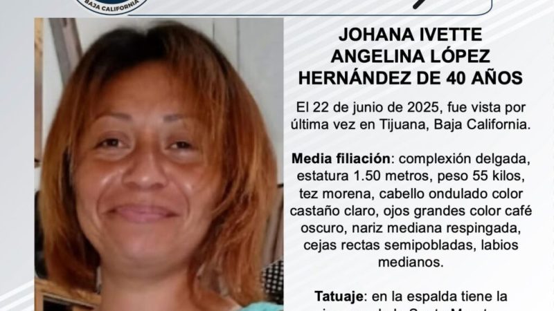 Pesquisa de Johana Ivette Angelina López Hernández de 40 años