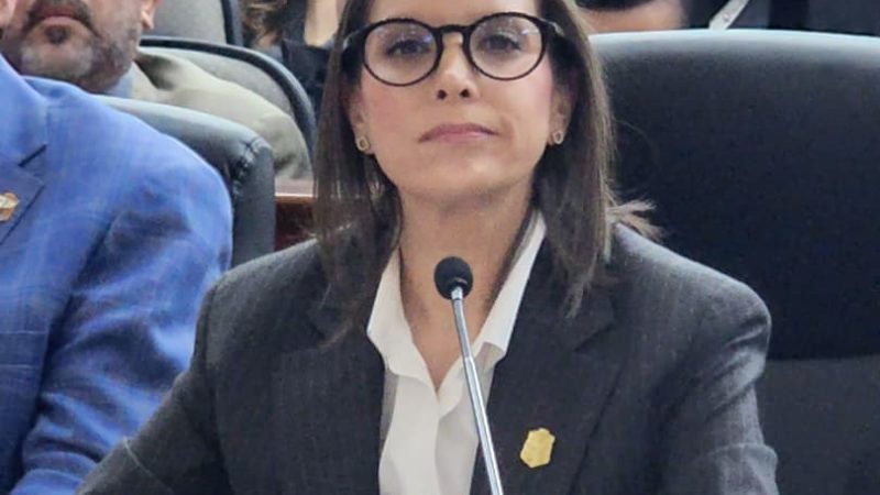 Comparece ante el Congreso la Secretaría de Medio Ambiente y Desarrollo Sustentable