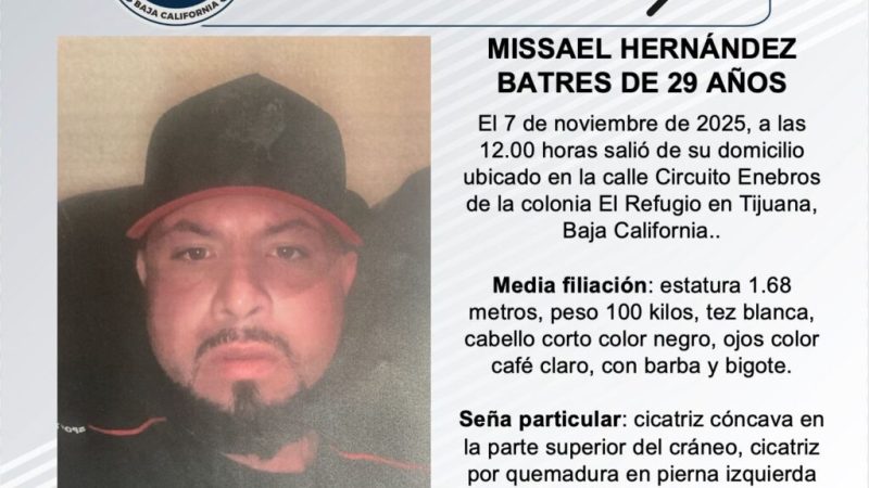 Pesquisa de Missael Hernández Batres de 29 años
