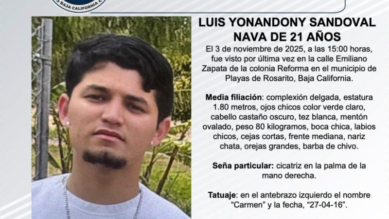 Pesquisa de Luis Yonandony Sandoval Nava de 21 años