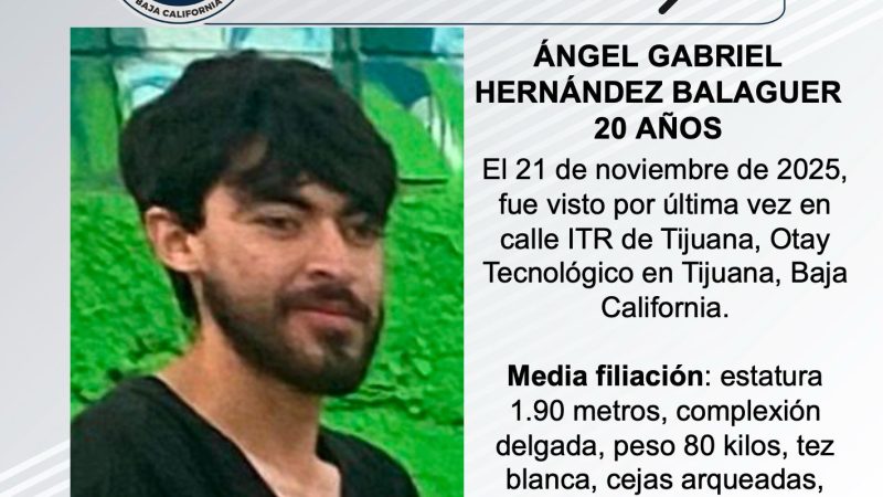 Pesquisa de Ángel Gabriel Hernández Balaguer de 20 años