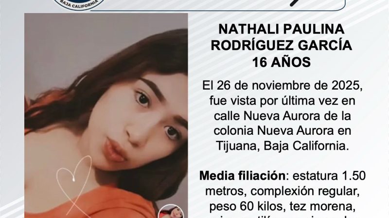 Pesquisa de Nathali Paulina Rodríguez García de 16 años