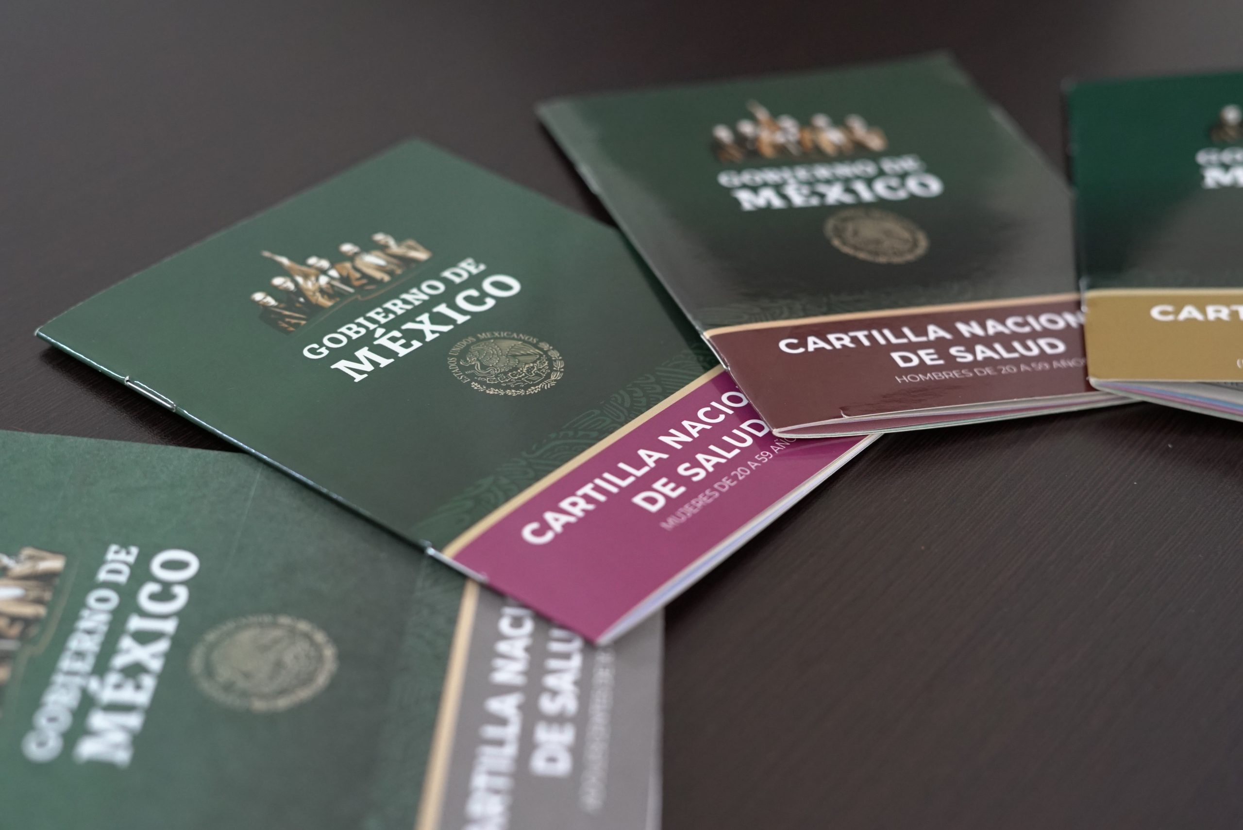 Cartilla Nacional de Salud: cuántos tipos existen y por qué debes tenerla actualizada