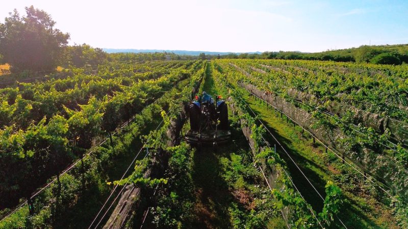 Chihuahua es sede del México Selection by Concours Mondial de Bruxelles