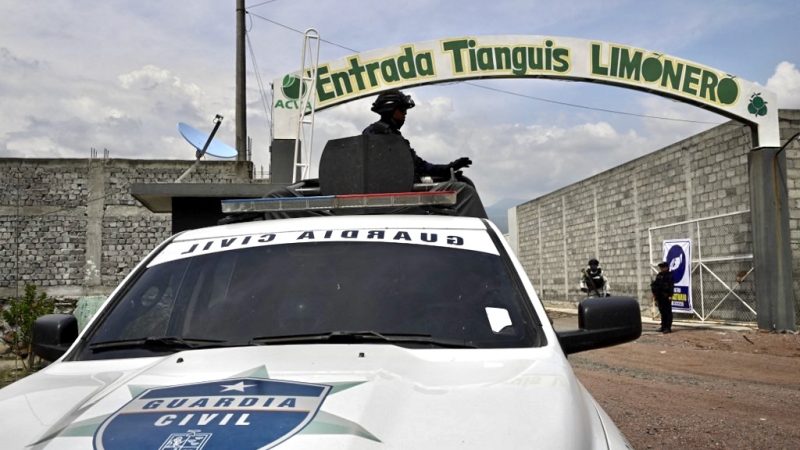 Detienen a dos implicados más en el asesinato del líder limonero en Michoacán