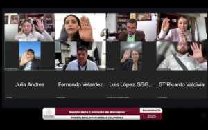 Dictamina Comisión de Bienestar reformas en pro de la niñez, juventudes y personas adultas mayores