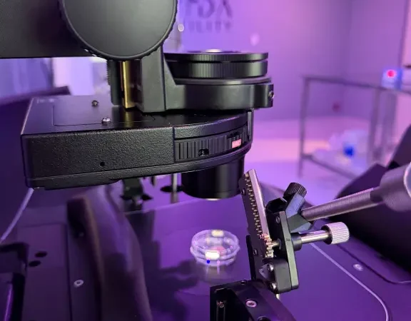 Inteligencia Artificial en la fertilidad: transformando el futuro de la reproducción asistida