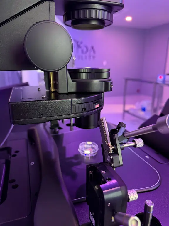 Inteligencia Artificial en la fertilidad: transformando el futuro de la reproducción asistida