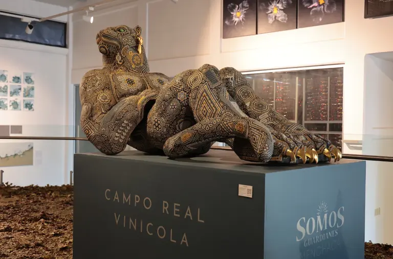 El camino de la plata: Vino, patrimonio y arte