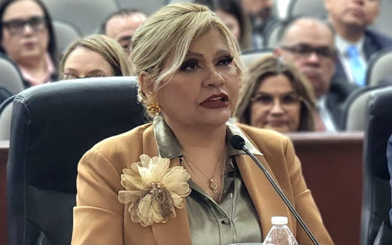 Comparece ante el Congreso la FGE por el Presupuesto de Egresos 2026, por 3.3 mmdp
