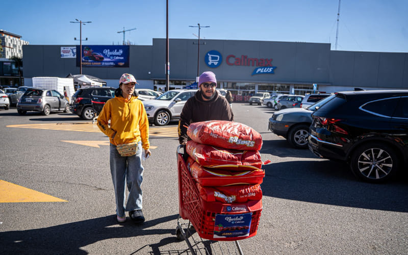 Buscan reunir más de cinco toneladas de alimento en el Croquetón 2025
