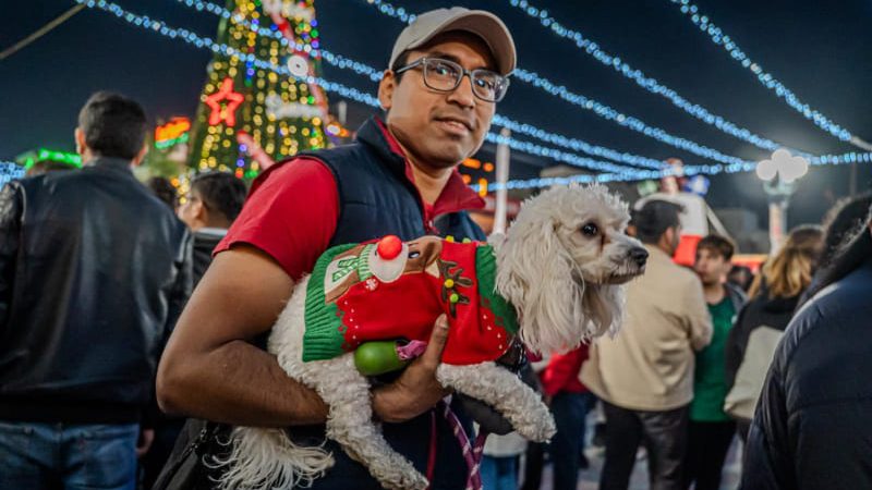 Avenida Revolución se ilumina con el encendido del Árbol Coca-Cola