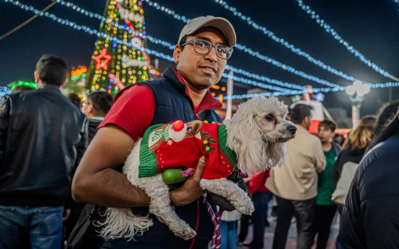 Avenida Revolución se ilumina con el encendido del Árbol Coca-Cola