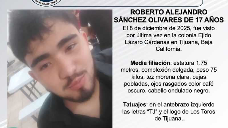 Pesquisa de Roberto Alejandro Sánchez Olivares de 17 años