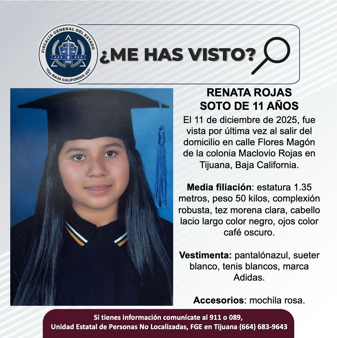 Pesquisa de Renata Rojas Soto de 11 años