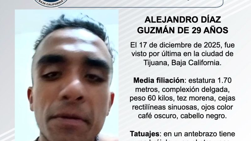 Pesquisa de Alejandro Díaz Guzmán de 29 años