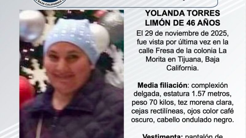 Pesquisa de Yolanda Torres Limón de 46 años