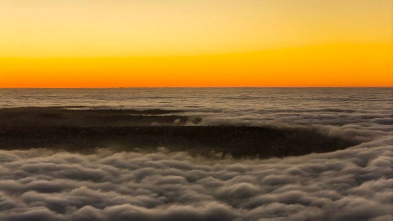 Densa neblina vuelve a cubrir Tijuana y afecta operaciones aéreas