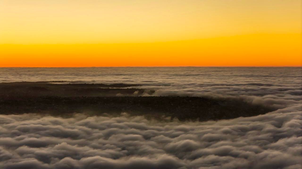 Densa neblina vuelve a cubrir Tijuana y afecta operaciones aéreas