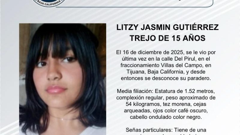 Pesquisa de Litzy Jasmin Gutiérrez Trejo de 15 años
