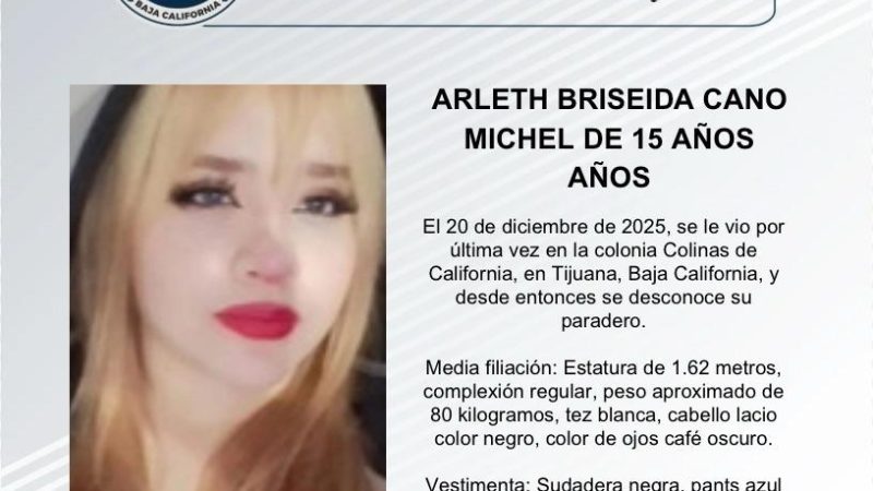 Pesquisa de Arleth Briseida Cano Michel de 15 años