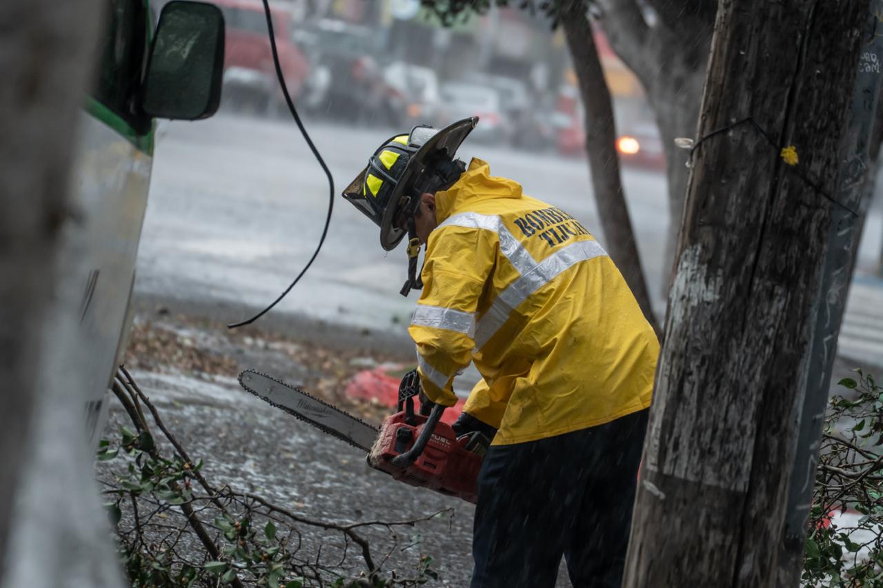 Caída de árbol provoca cierre de la calle Sexta