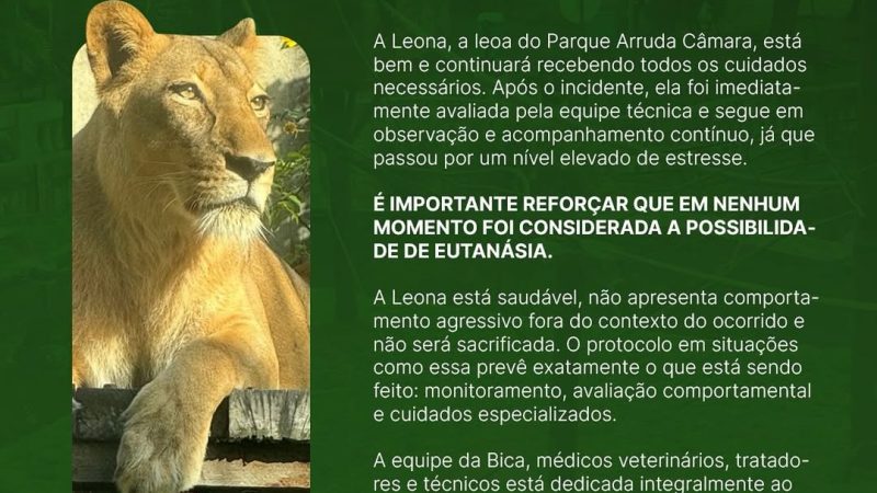Una leona mata a un joven tras irrumpir en un zoológico de Brasil, el animal no será sacrificado