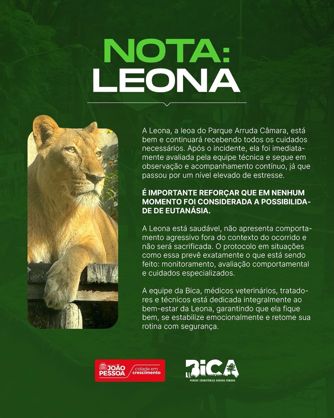 Una leona mata a un joven tras irrumpir en un zoológico de Brasil, el animal no será sacrificado