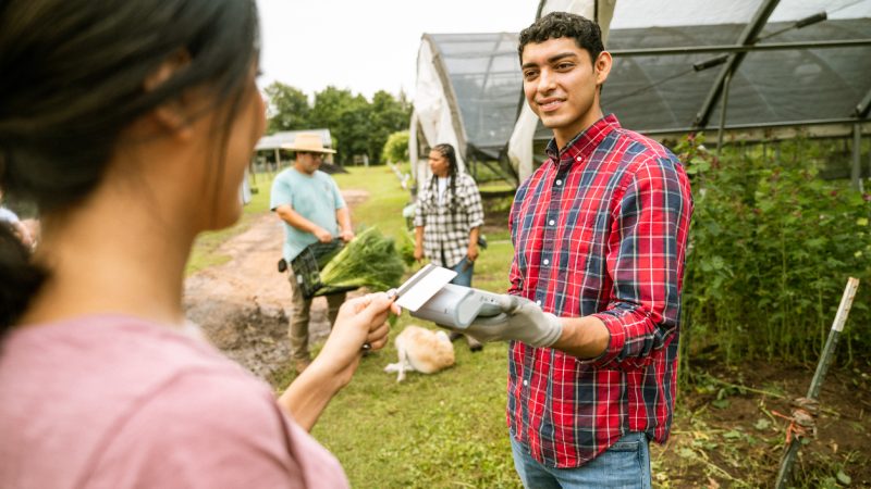 El SAT exenta a Resico de presentar declaración anual, salvo estas excepciones