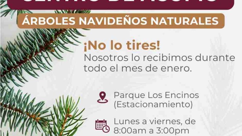 Gobierno de Tecate habilitará centro de acopio para árboles de navidad naturales