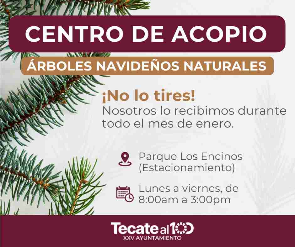 Gobierno de Tecate habilitará centro de acopio para árboles de navidad naturales
