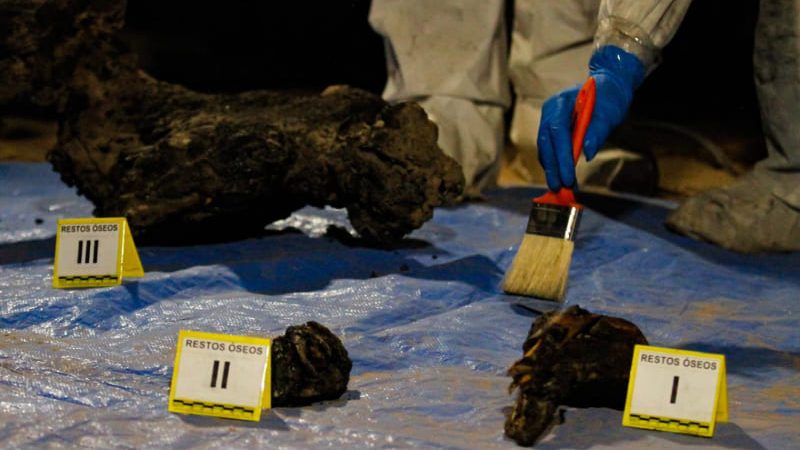 Localizan quinta fosa clandestina en la colonia Miguel Alemán; suman al menos 11 cuerpos