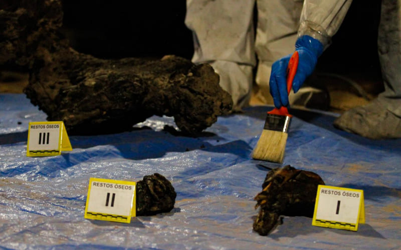 Localizan quinta fosa clandestina en la colonia Miguel Alemán; suman al menos 11 cuerpos