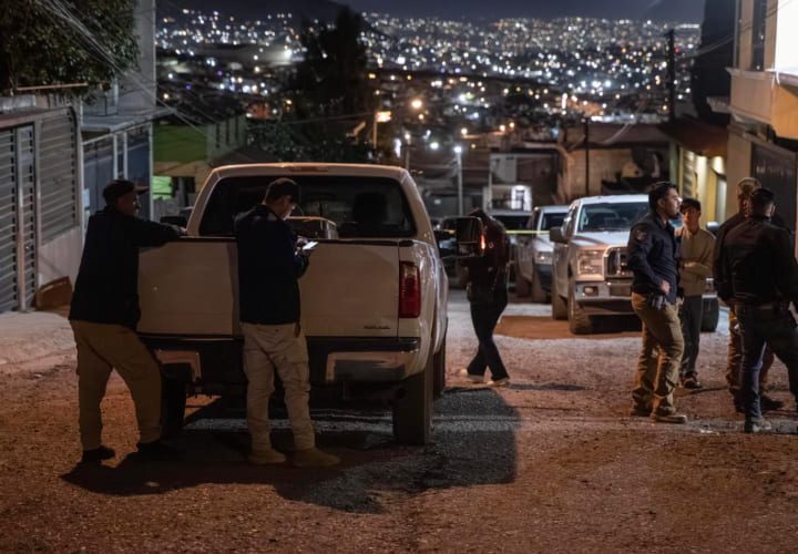 Rescatan a siete perros tras cateo en vivienda; uno fue localizado sin vida