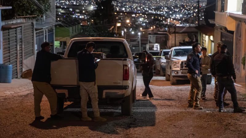 Rescatan a siete perros tras cateo en vivienda; uno fue localizado sin vida
