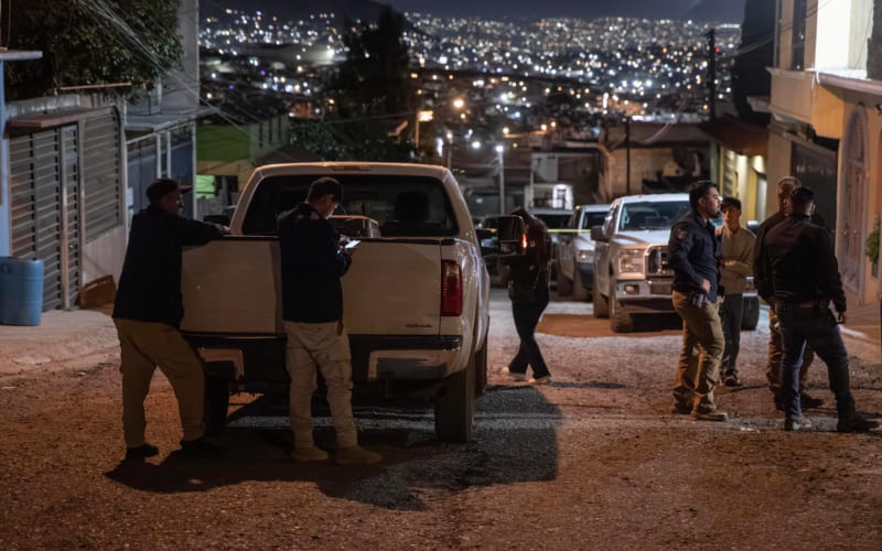 Rescatan a siete perros tras cateo en vivienda; uno fue localizado sin vida