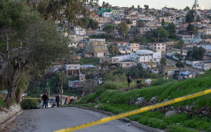 Denuncian presunto caso de maltrato animal en la colonia Otay Jardín de Tijuana