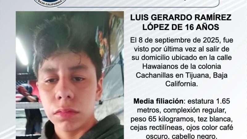 Pesquisa de Luis Gerardo Ramírez López de 16 años